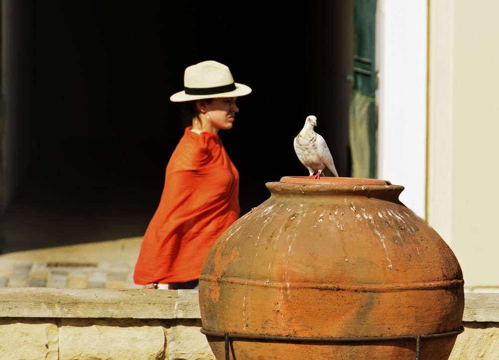 Photograph by Андрей Бойко