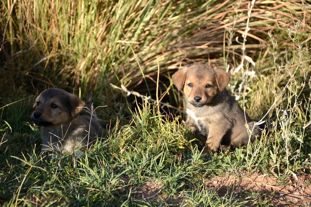 Photograph by seyedmohamad tabrizi