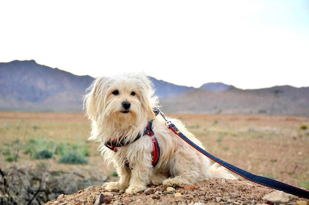 Photograph by seyedmohamad tabrizi