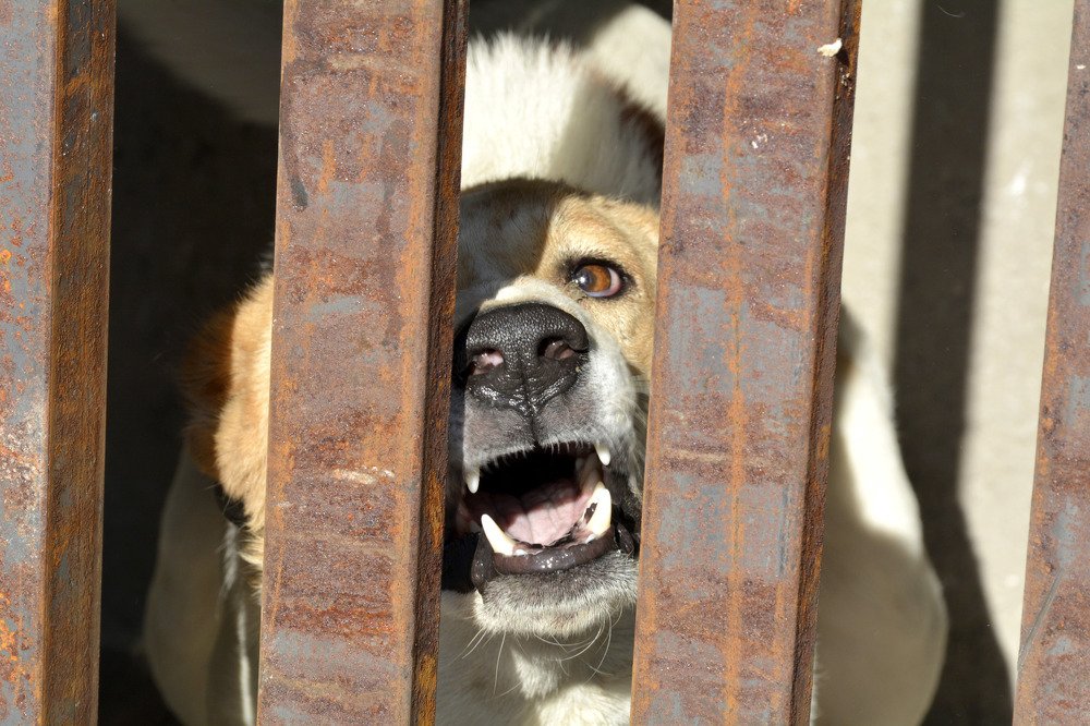 Photograph by seyedmohamad tabrizi