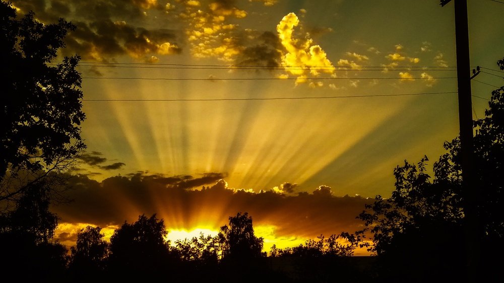 Photograph by Алёна Лысенко
