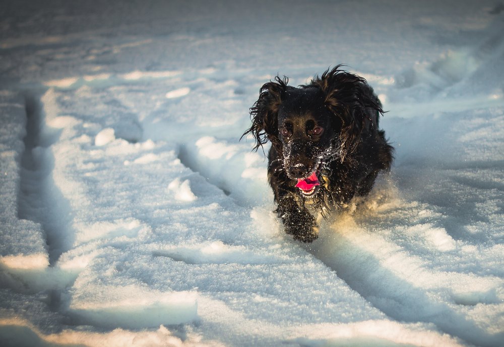 Photograph by Васенин Павел