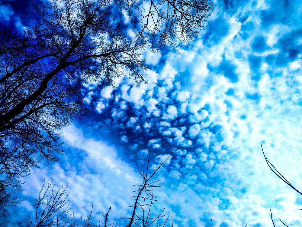 Photograph by Алёна Лысенко