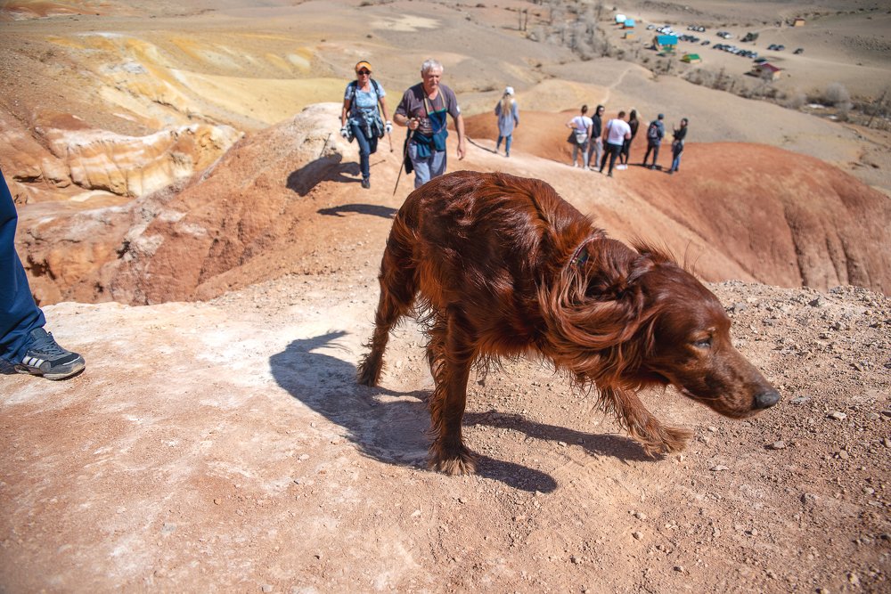 Photograph by Юлия Осипенко