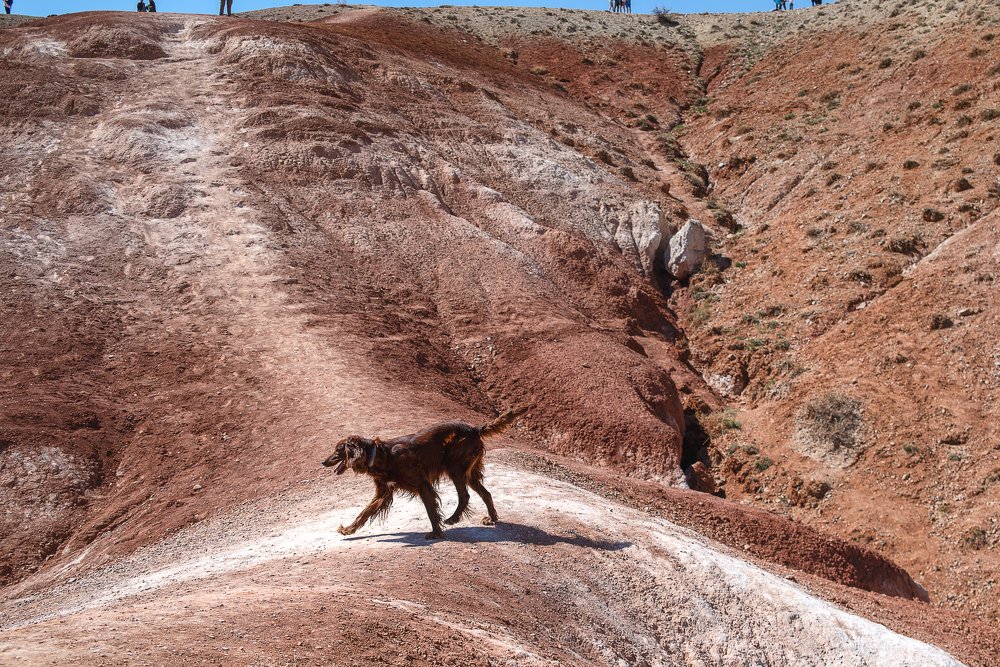Photograph by Юлия Осипенко