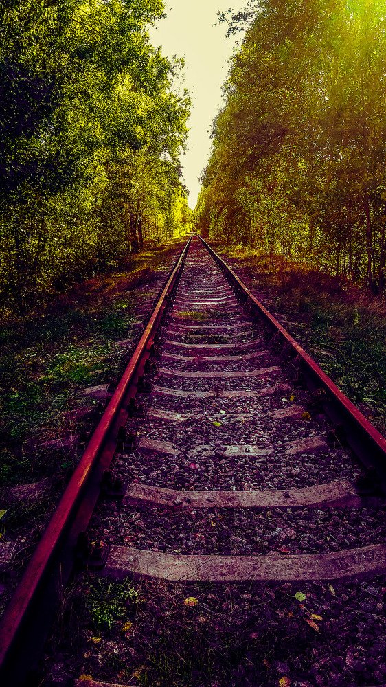 Photograph by Алёна Лысенко
