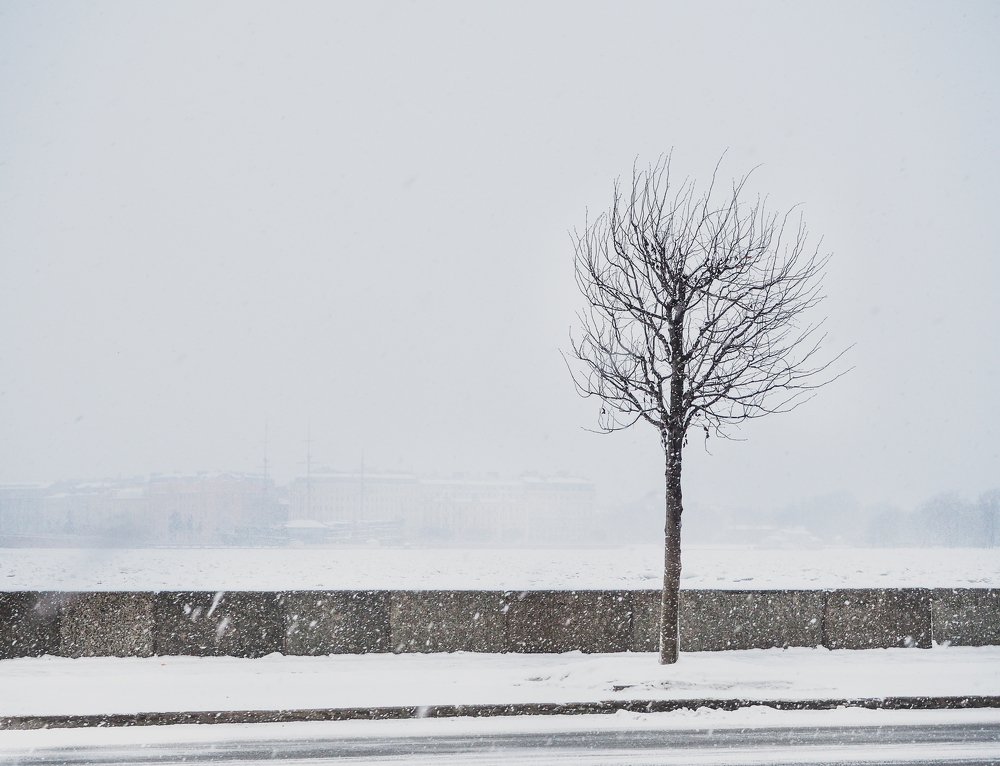 Photograph by Станислав Саблин