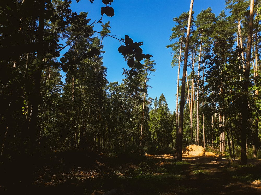Photograph by Алина Веремеенко