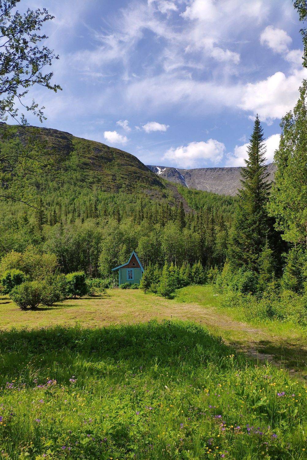 Photo #3767630