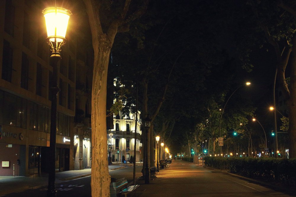 Photograph by Ирина Кононова