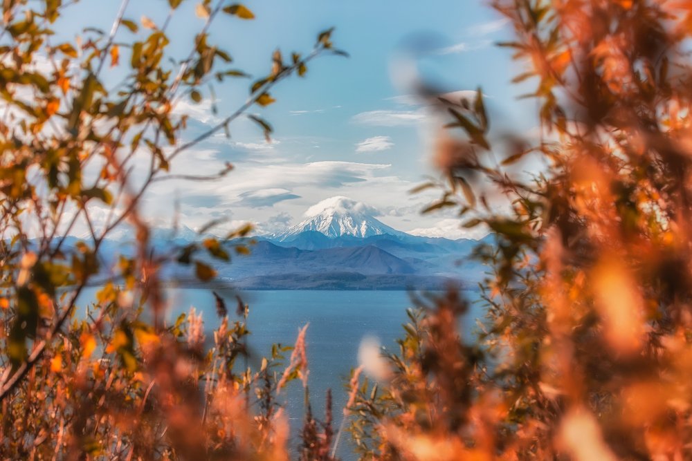 Photograph by Алексей Юницын