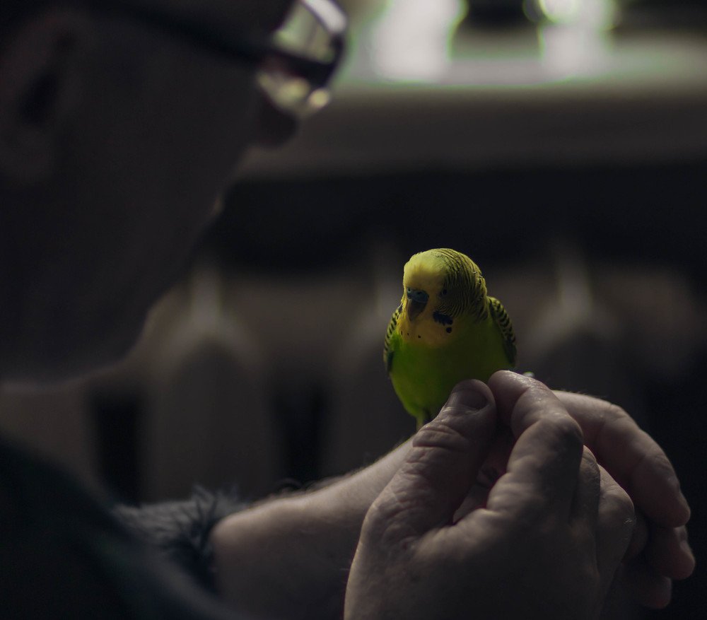 Photograph by Вячеслав Кипоть