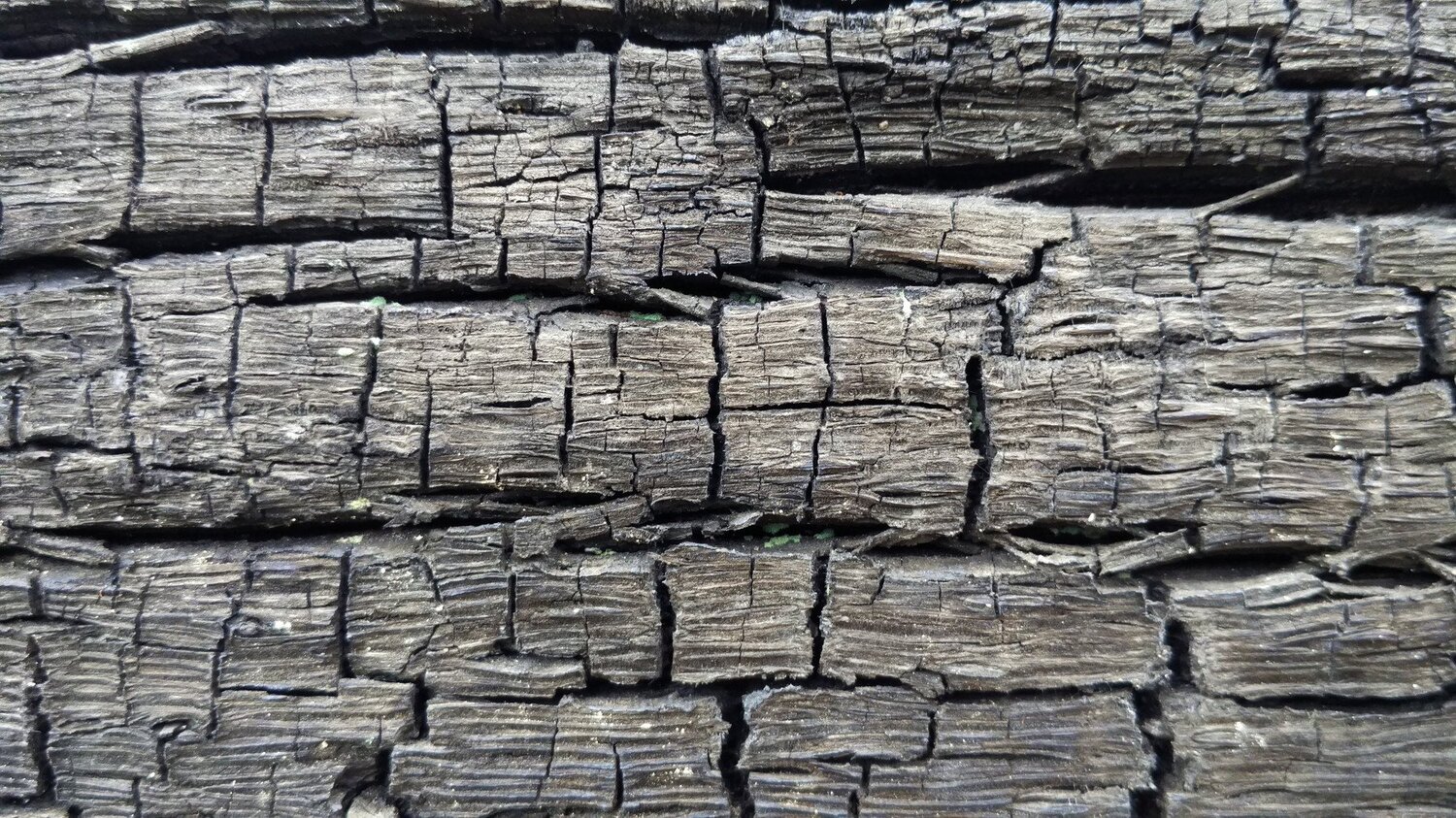texture pattern close up of the remaining burning of tree trunks.