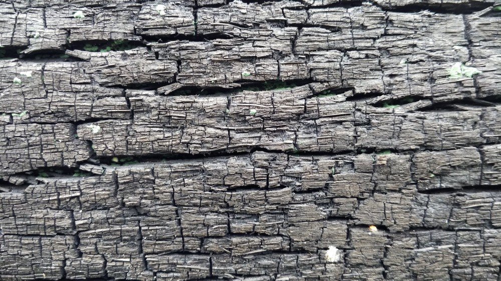 texture pattern close-up of the remaining burning of tree trunks.