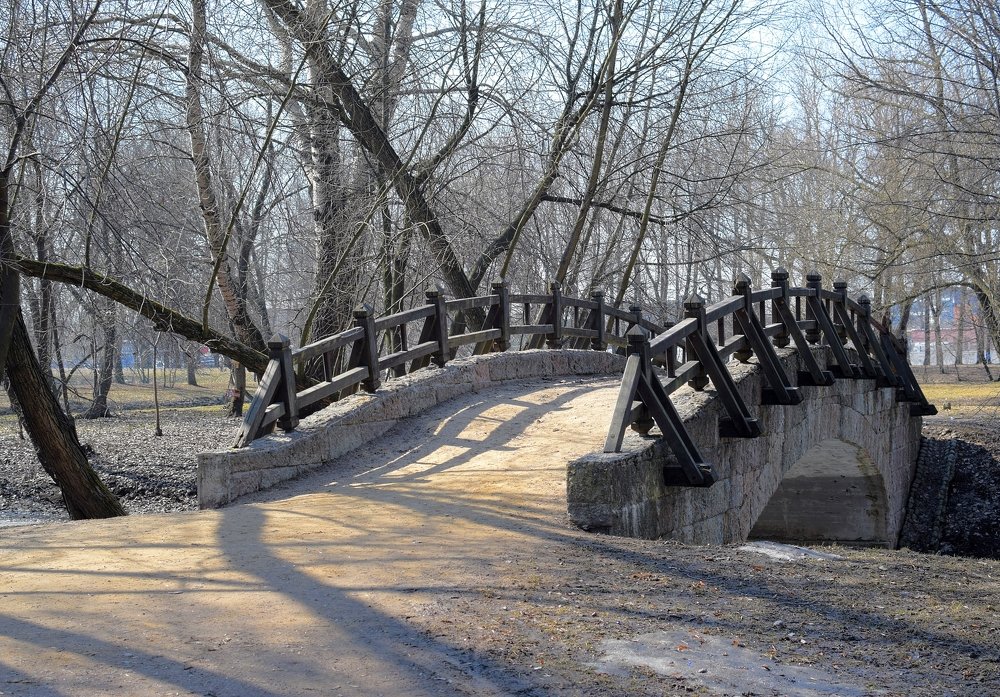 Фотография автора Альбина Хвастунова