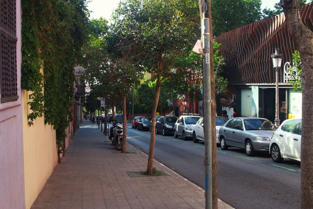 Photograph by Ирина Кононова