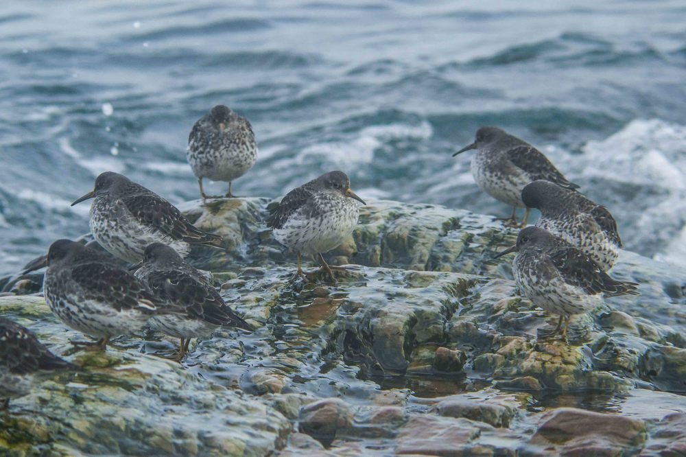 Photograph by  Alexandr