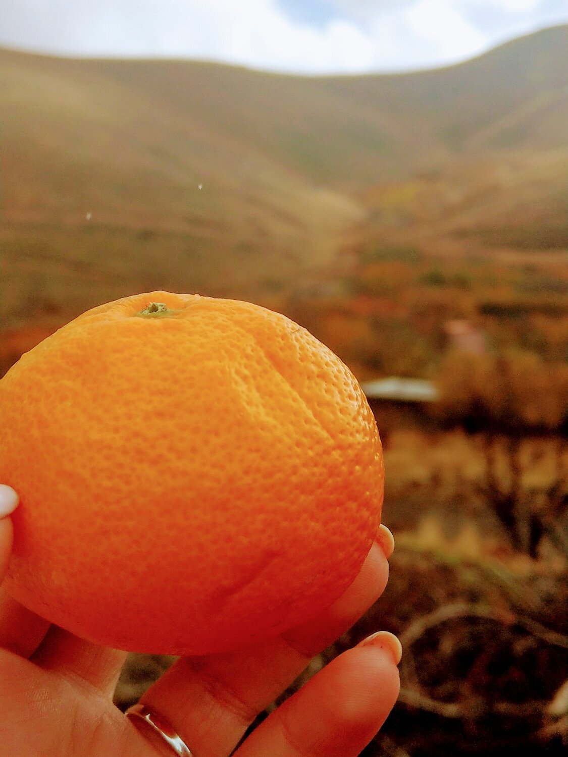 Photo #3767837