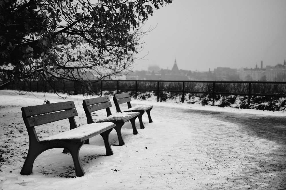 Photograph by Monika Sandr