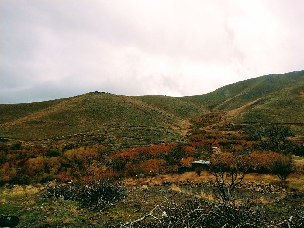 Photo #3767848