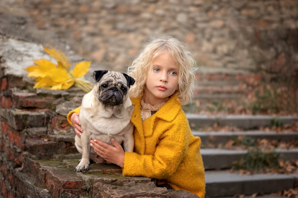 Собака- лучший друг