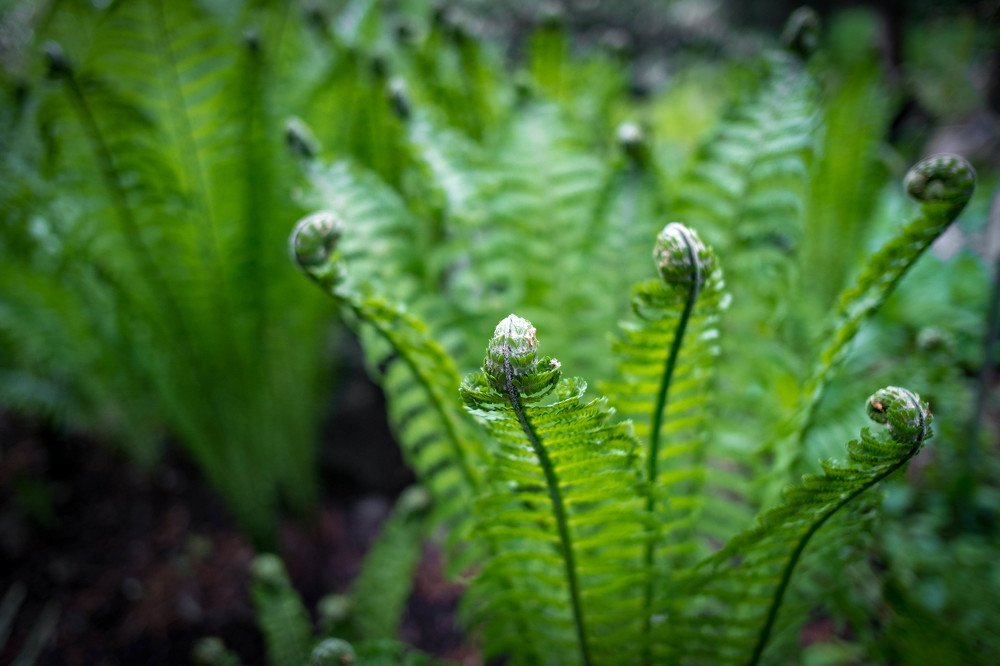 Photograph by Мария Причиненко