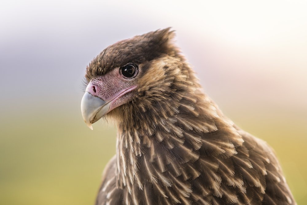 Photograph by Amalia Zilio