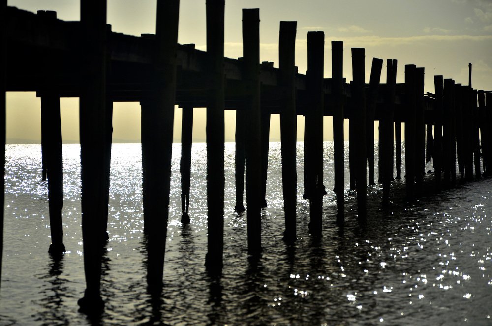 Photograph by Gerson Bohrer Seffrin