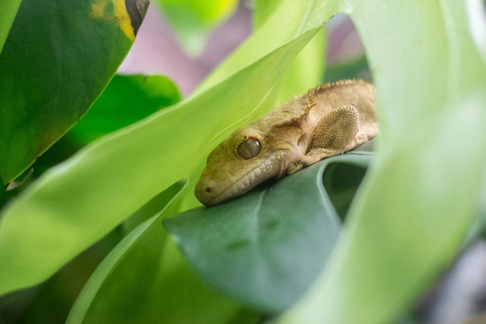 Photograph by Мария Причиненко