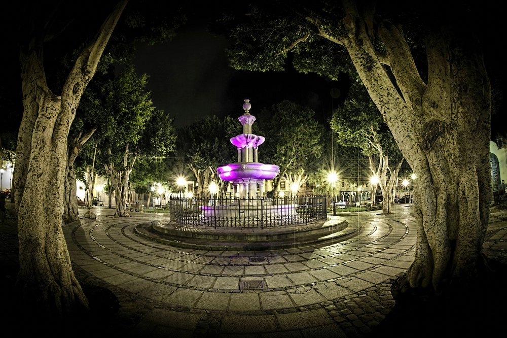 Photograph by Jose Luis Mendez Fernandez