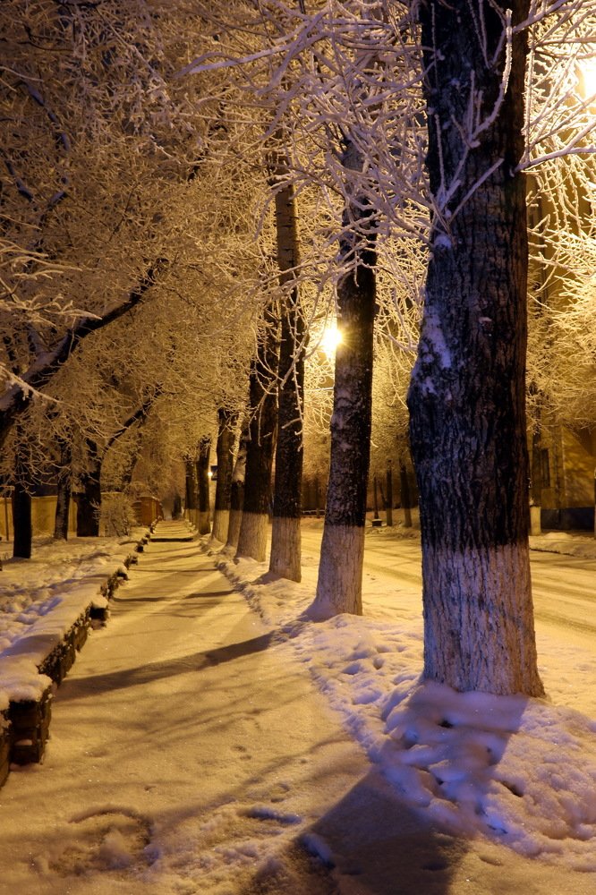Фотография автора 
