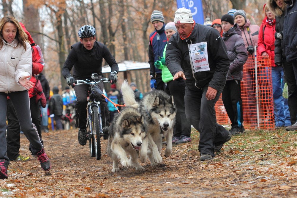 Photograph by Efremenko Nikita