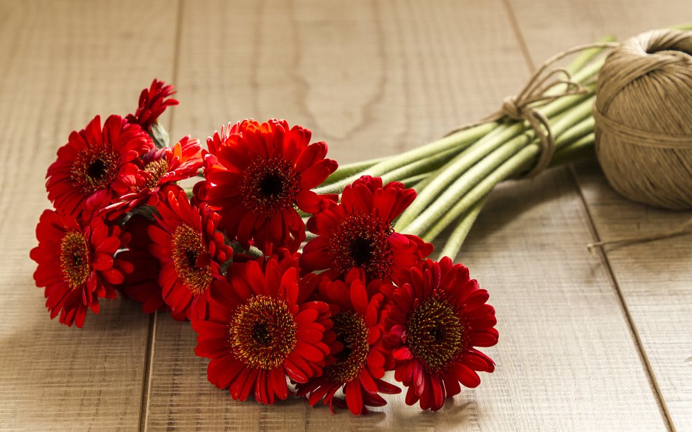 Photograph by Rita Kapitulski