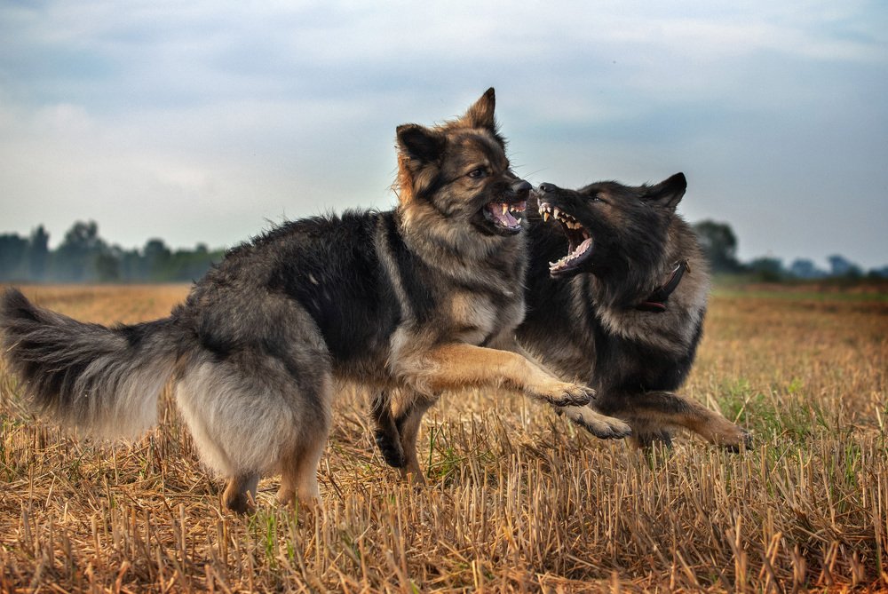 Photograph by Lilianna