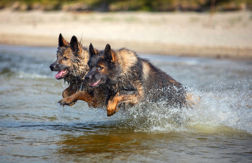 Photograph by Lilianna