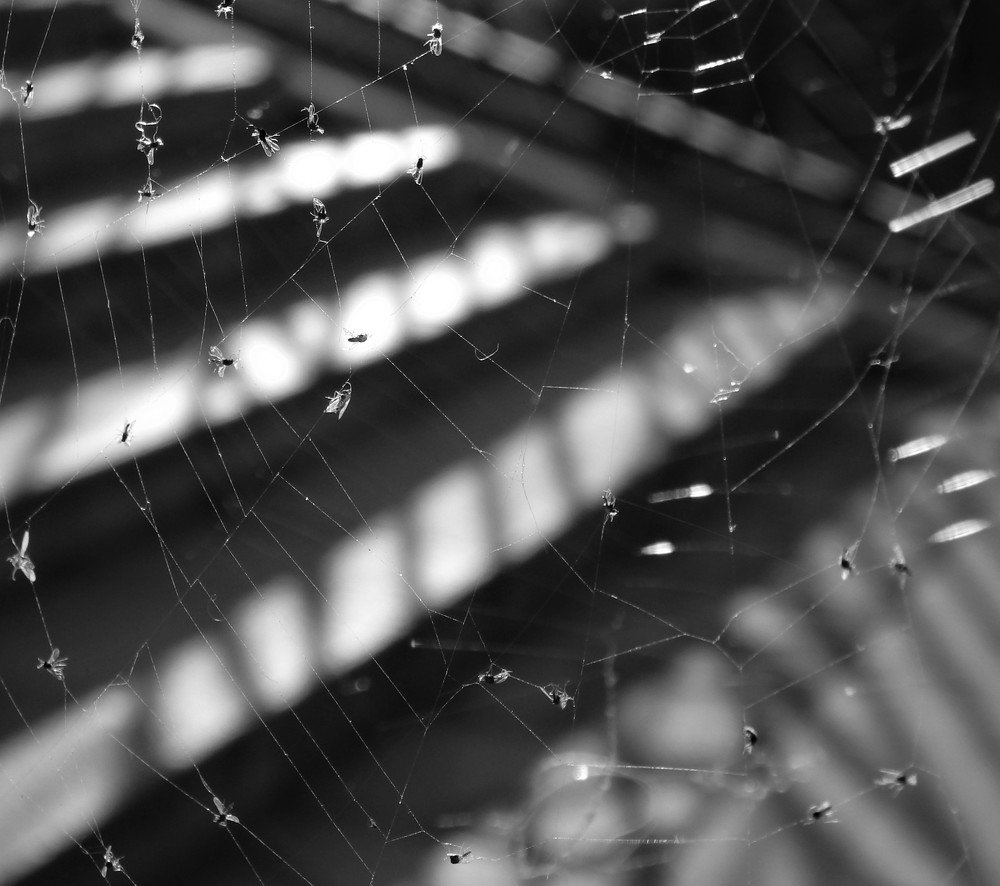 Фотография автора Tiia Vissak