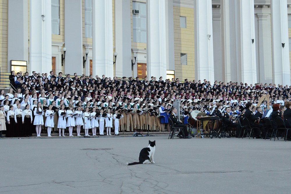 Photograph by Мария Громова