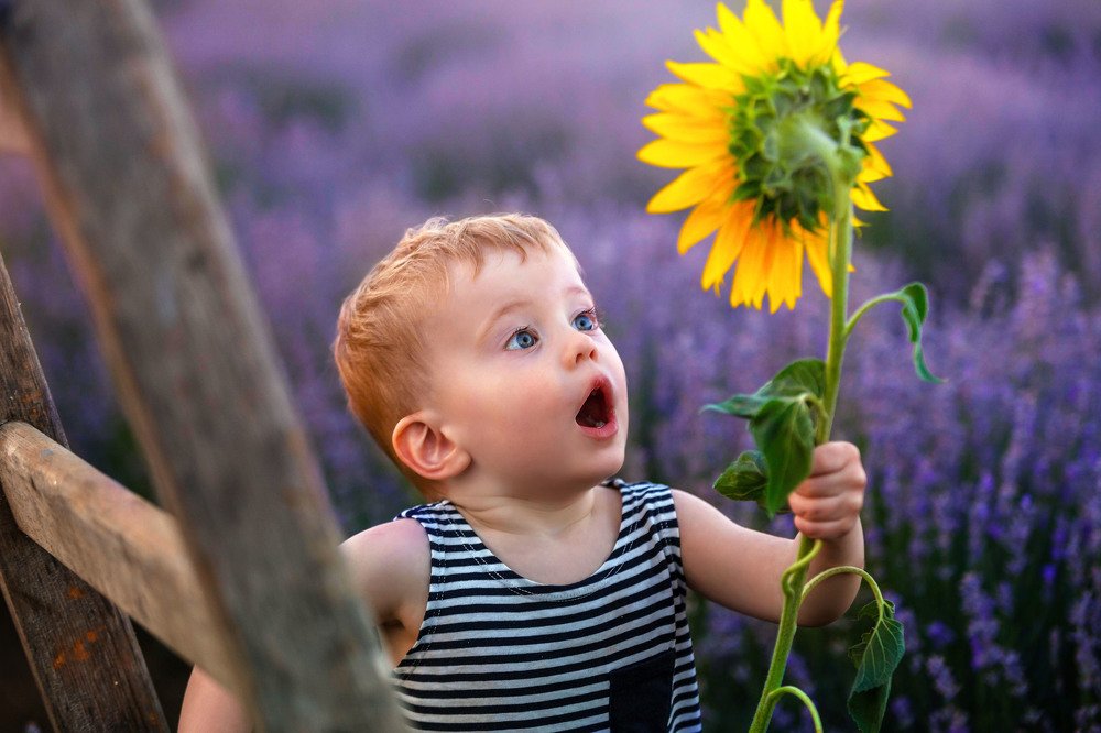 Photograph by Владимир Завьялов