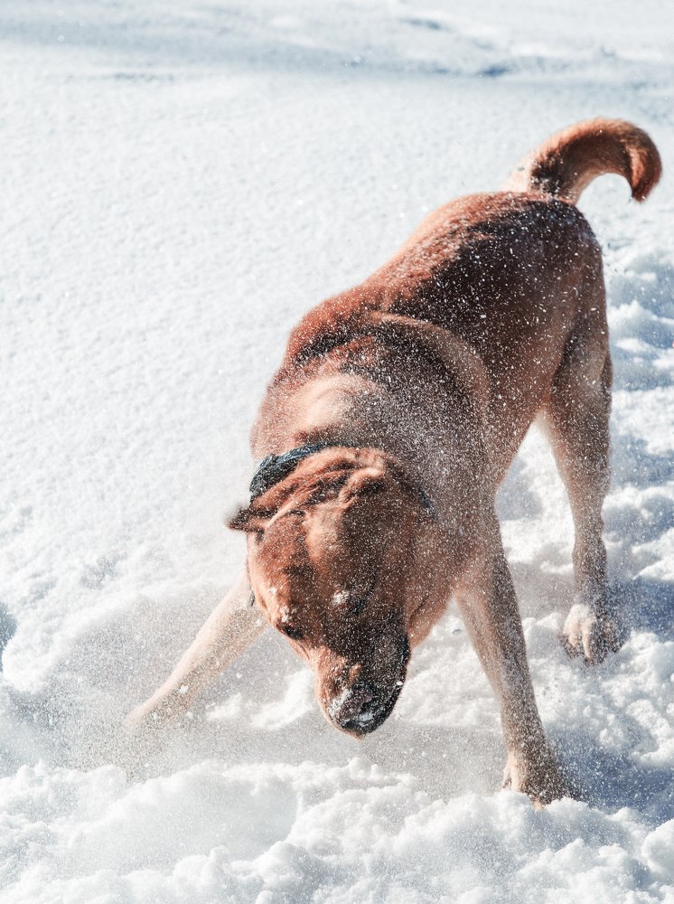 Photograph by Алексей