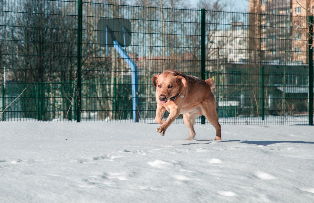 Photograph by Алексей