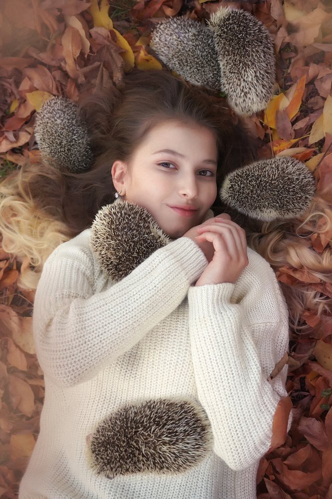 Ежовая осень