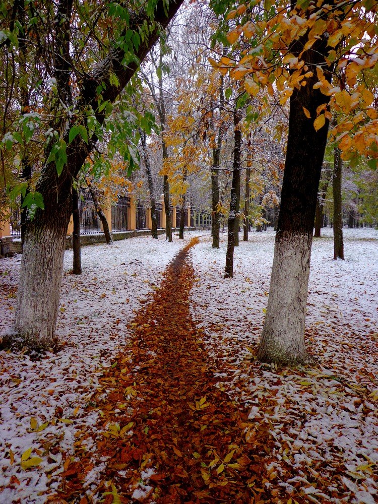 Photograph by Наталья Сазонова