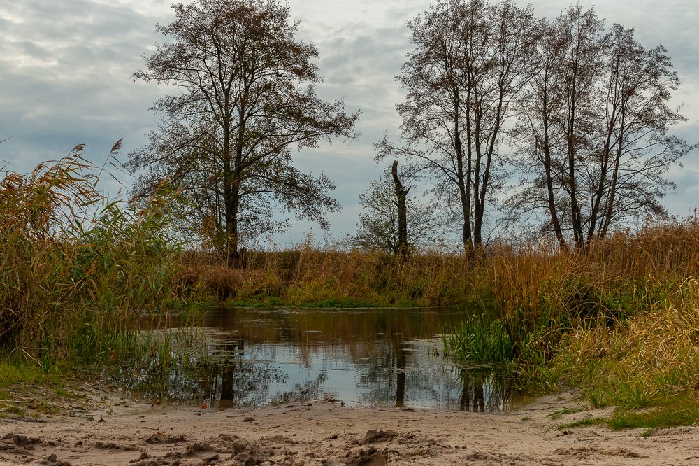 Осенняя Усманка.