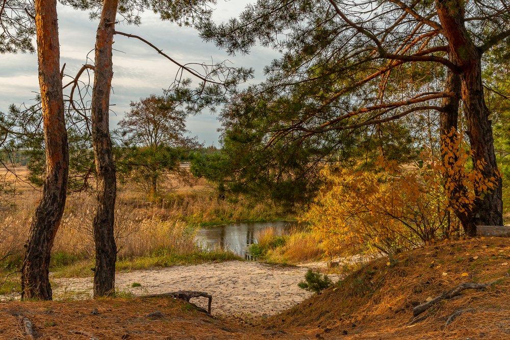 Осенняя Усманка.