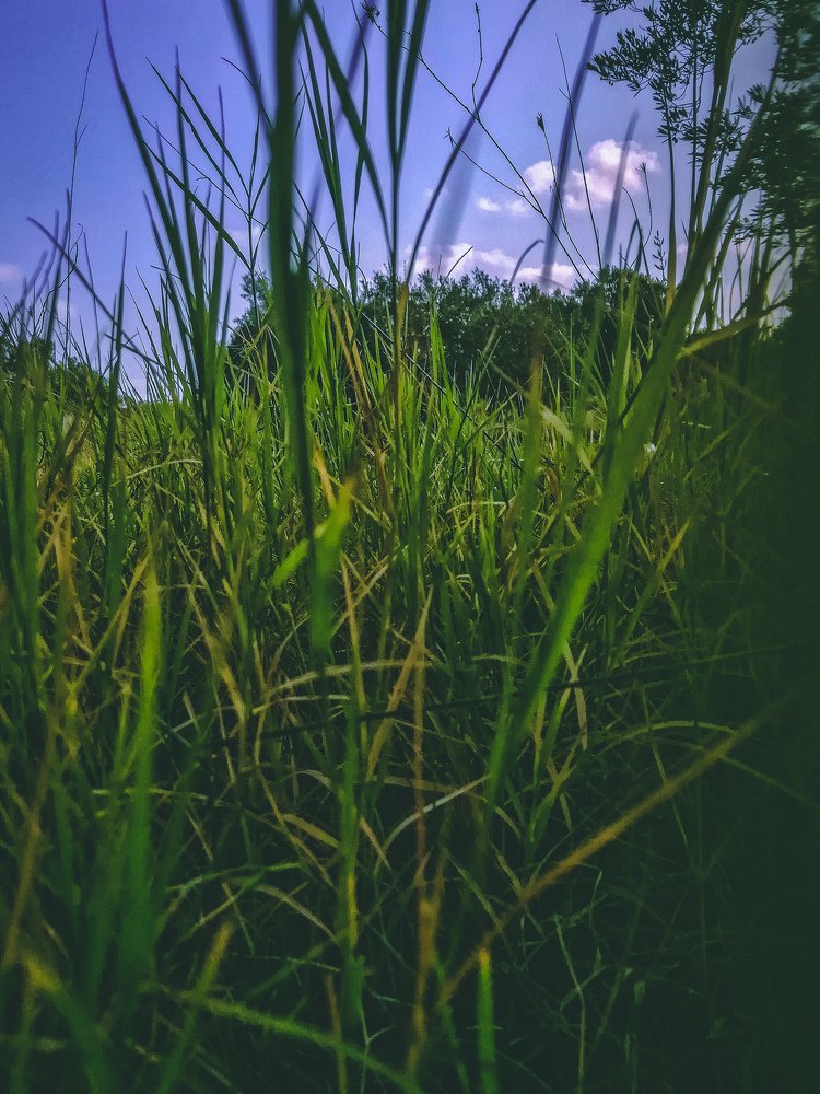 Photograph by Mazen Abdennadher