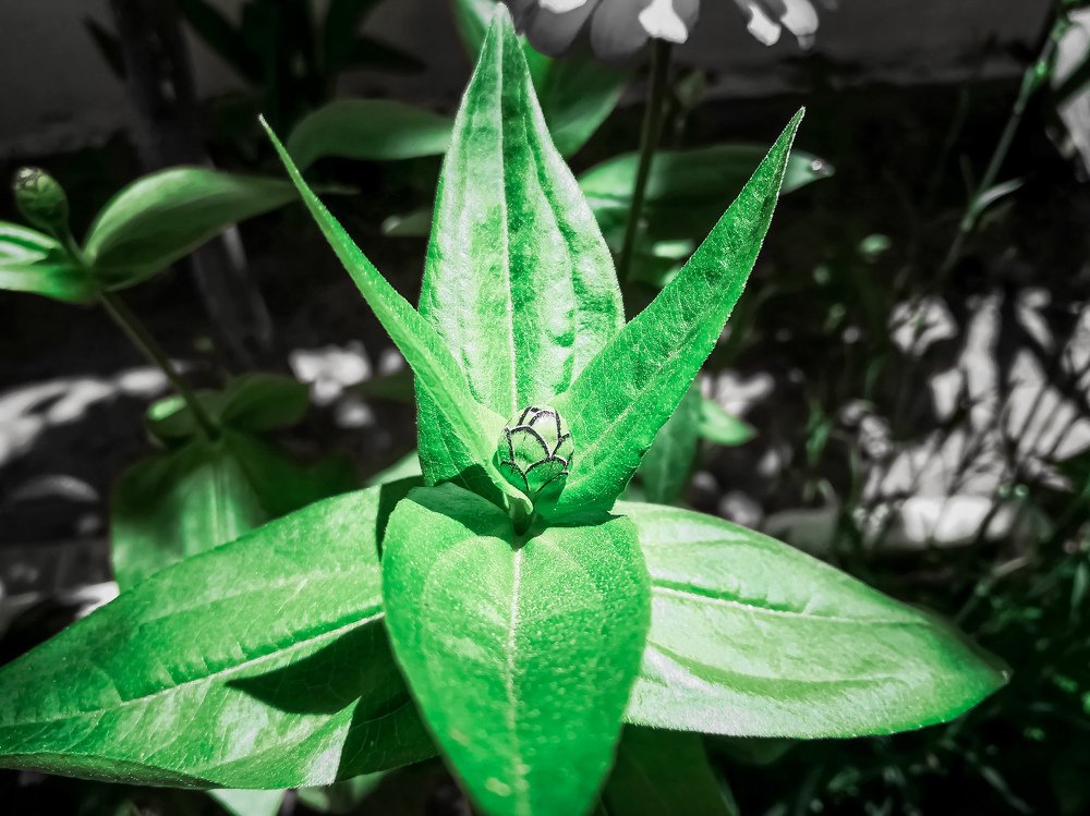 Photograph by Mazen Abdennadher