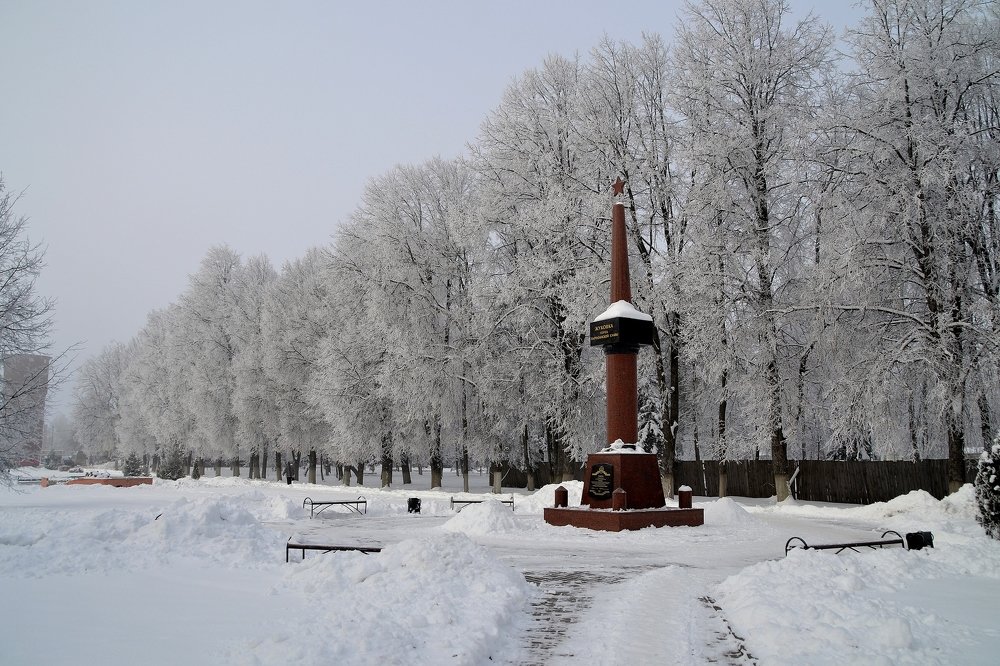 Зима в Жуковке