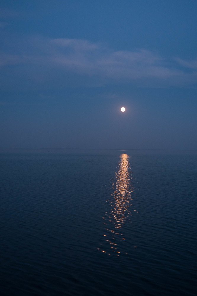 Photograph by Мария Причиненко