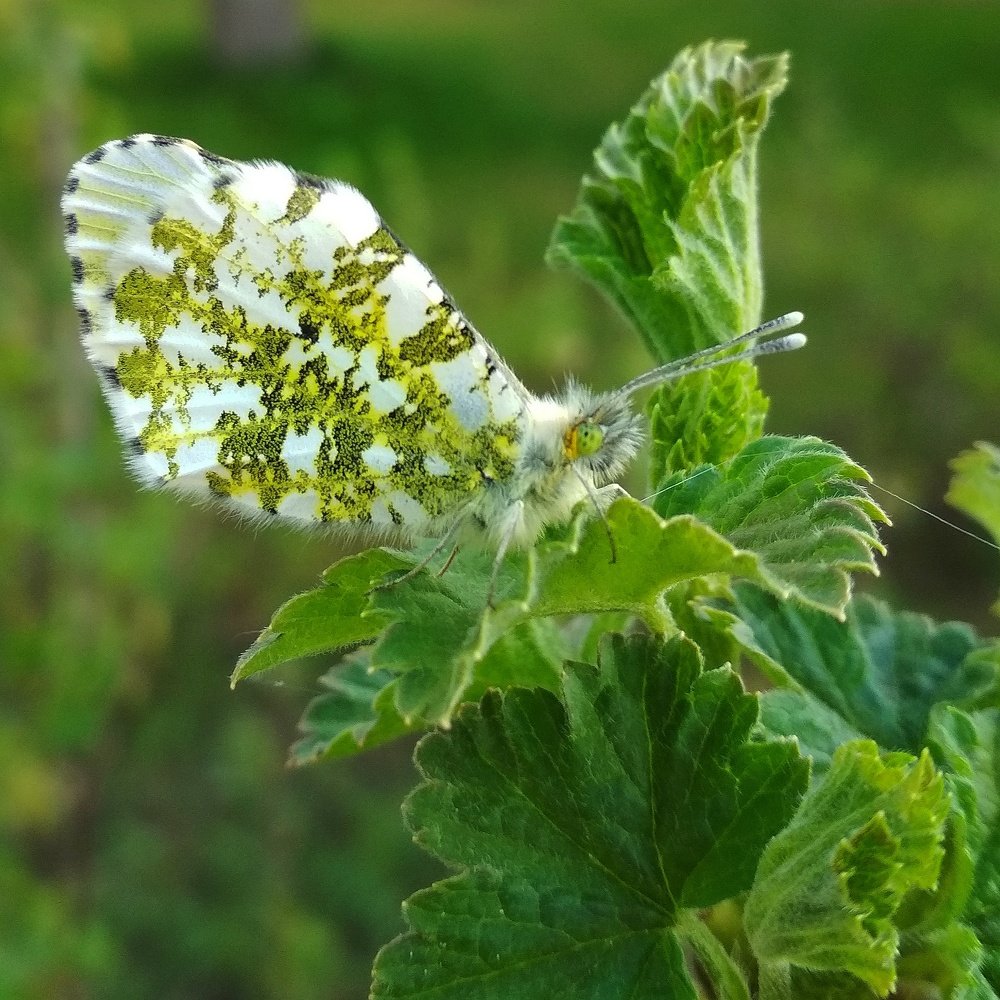 Photograph by Елена Павлова