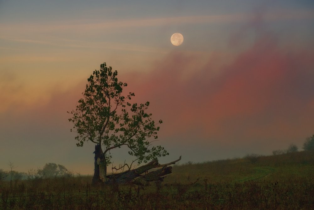 Полнолуние на рассвете